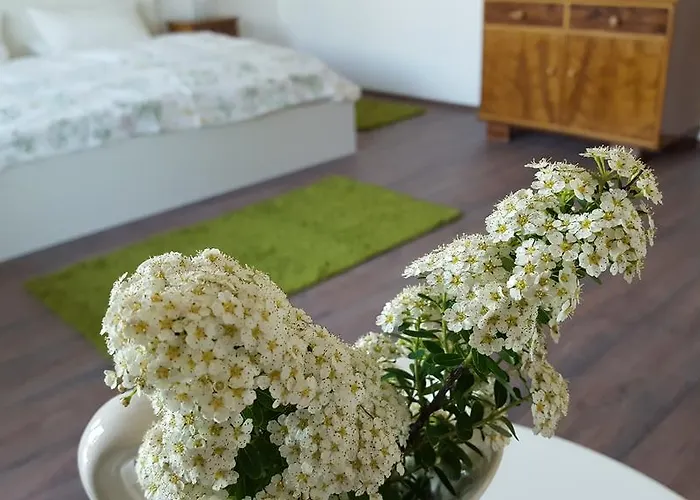 & Gaestezimmer Rixner * هيلبولتشتاين