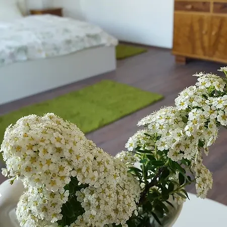 & Gaestezimmer Rixner * Хильпольтштайн